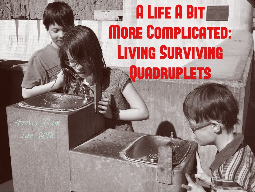 A Life A Bit More Complicated: Living with Surviving Quadruplets