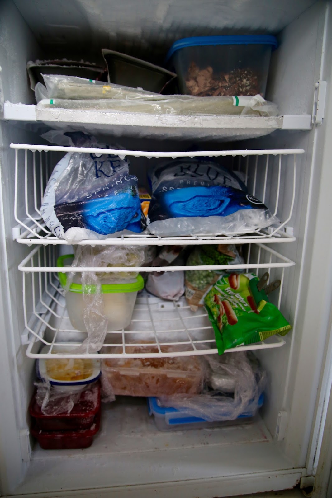 MsMarmiteLover Freezer tricks and tips
