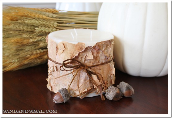 Świeczka w korze drzewa co zrobić ze starą świecą, DIY, drugie życie rzeczy, Gadżety do domu, how to make a candle, jak przerobić świeczkę, jak samemu zrobić świeczkę, w warunkach domowych, świeca, świeczka,