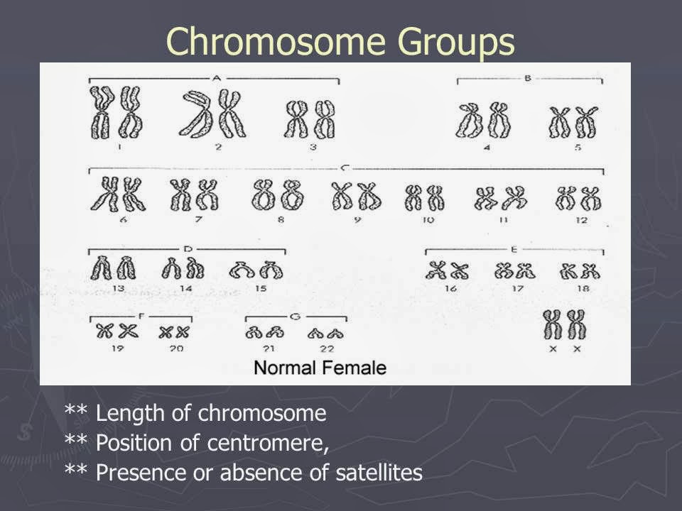Slide 60