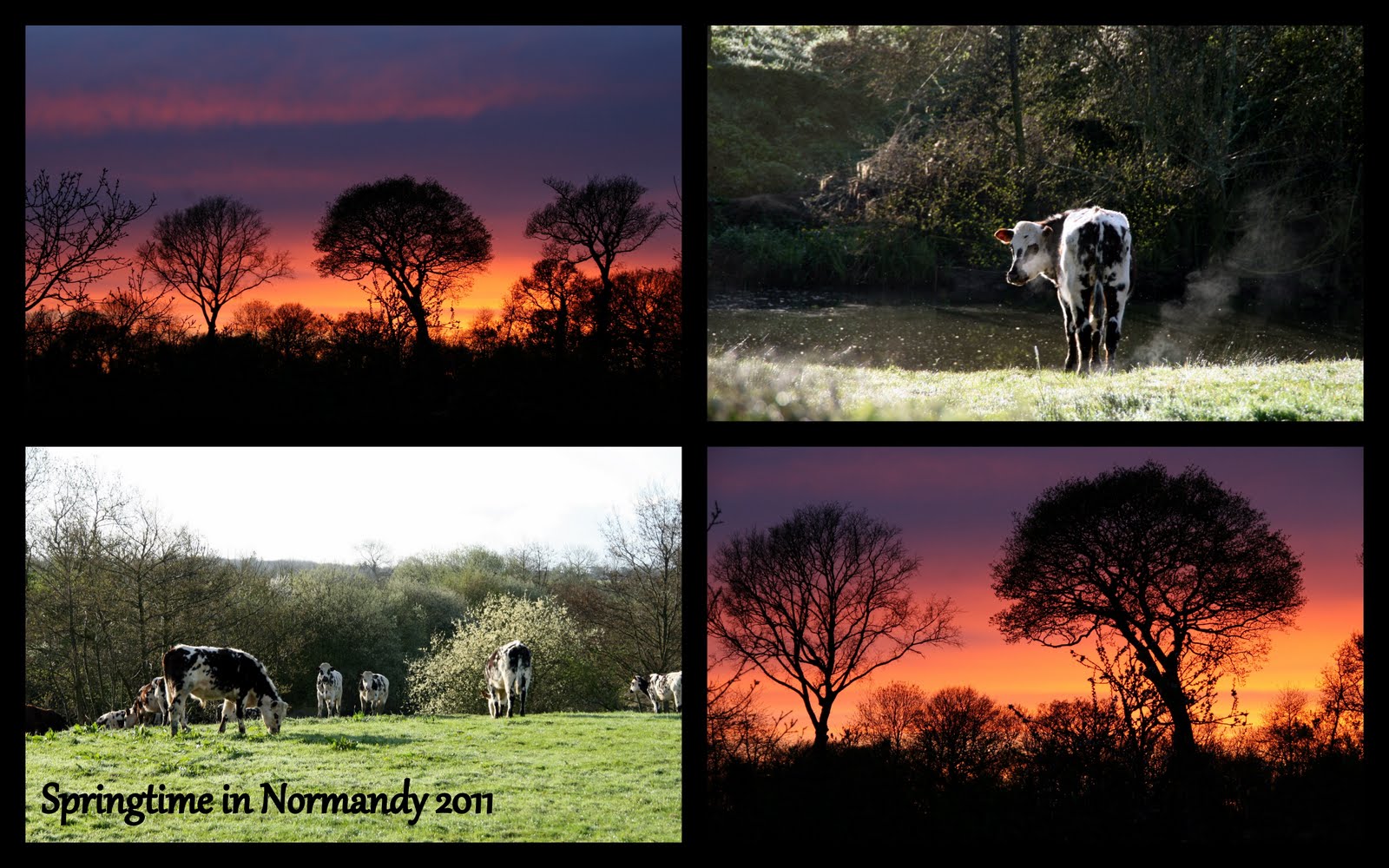 Sunrises and Sunsets Sunrises and Sunsets