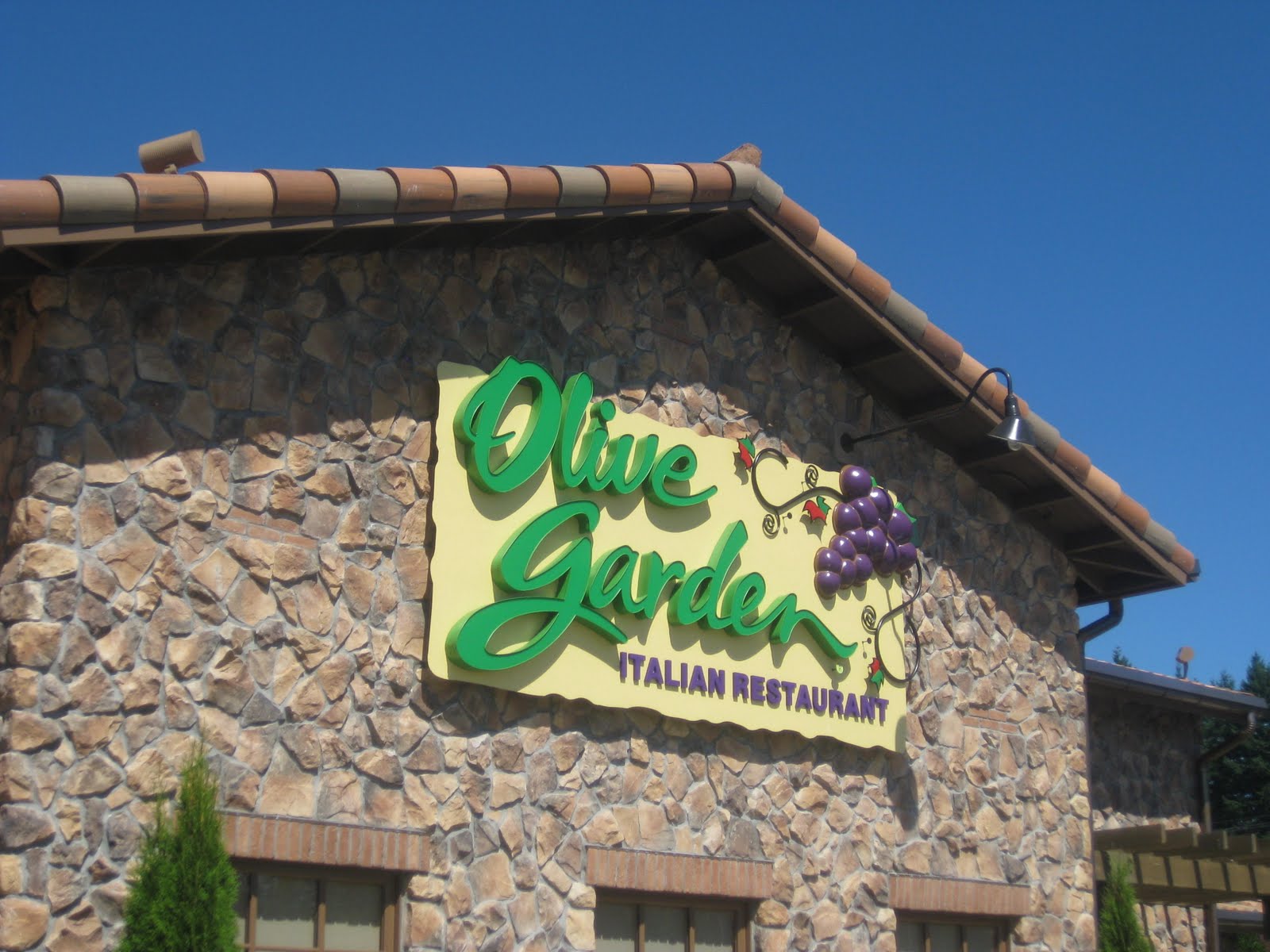 First We Cheers Olive Garden Tulalip