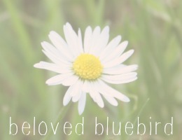 Beloved Bluebird
