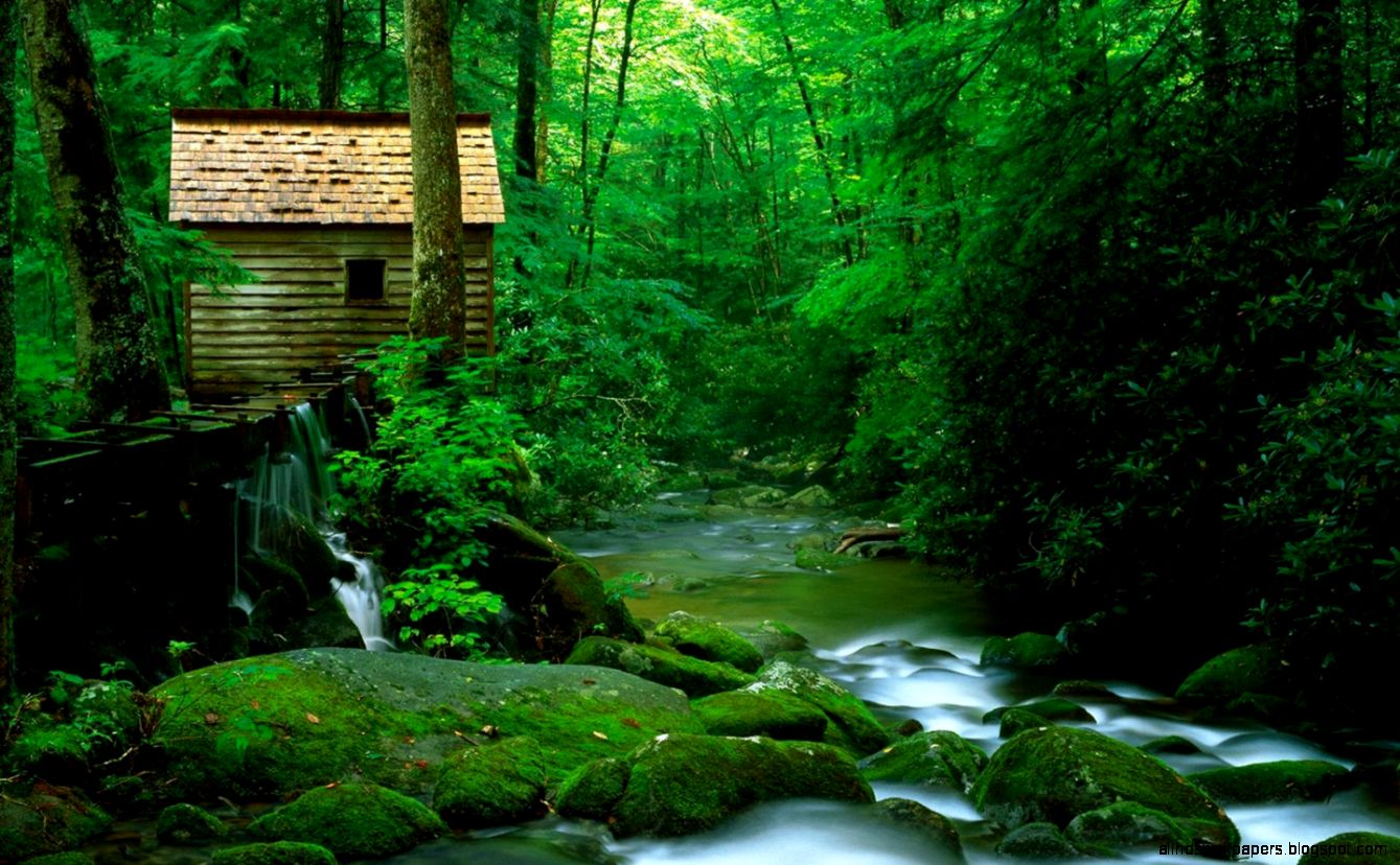 Nature scene wallpapers HD scene wallpapers HD natural Nature scene wallpapers HD scene wallpapers HD natural