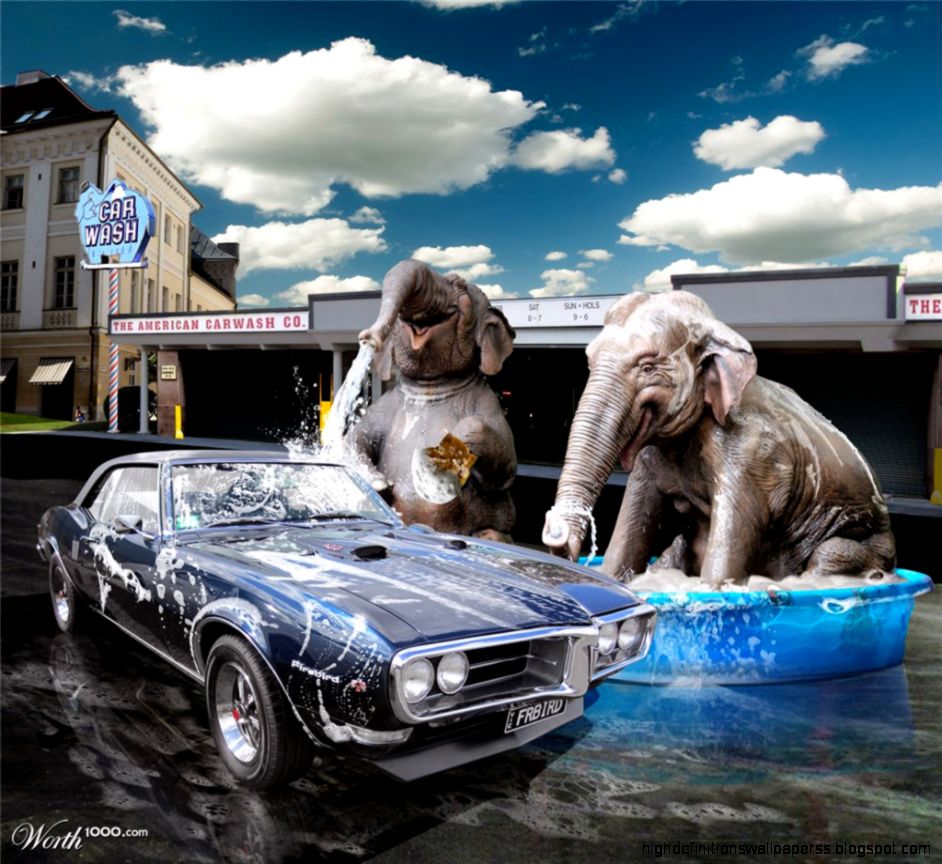 Elephant Car Wash Wallpaper Desktop 11680 Wallpaper Elephant Car Wash Wallpaper Desktop 11680 Wallpaper