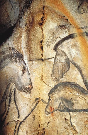 cave chauvet paintings heads horse ancient horses history drawings depicted fourteen species animal different france essay paleolithic face three ca