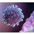 Coronavirus: WHO says 'this virus may never go away'