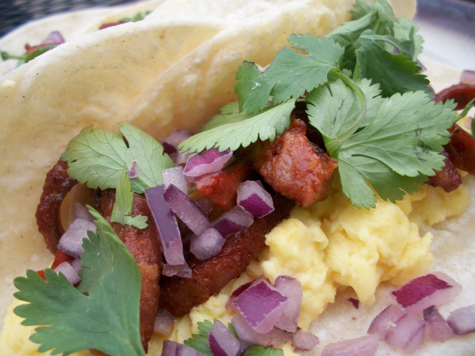 Breakfast Tacos What's Alex Eating?