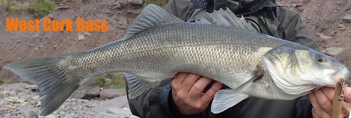 David's Bass Fishing Blog.