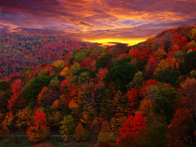 Autumn Mountain Scenes Images