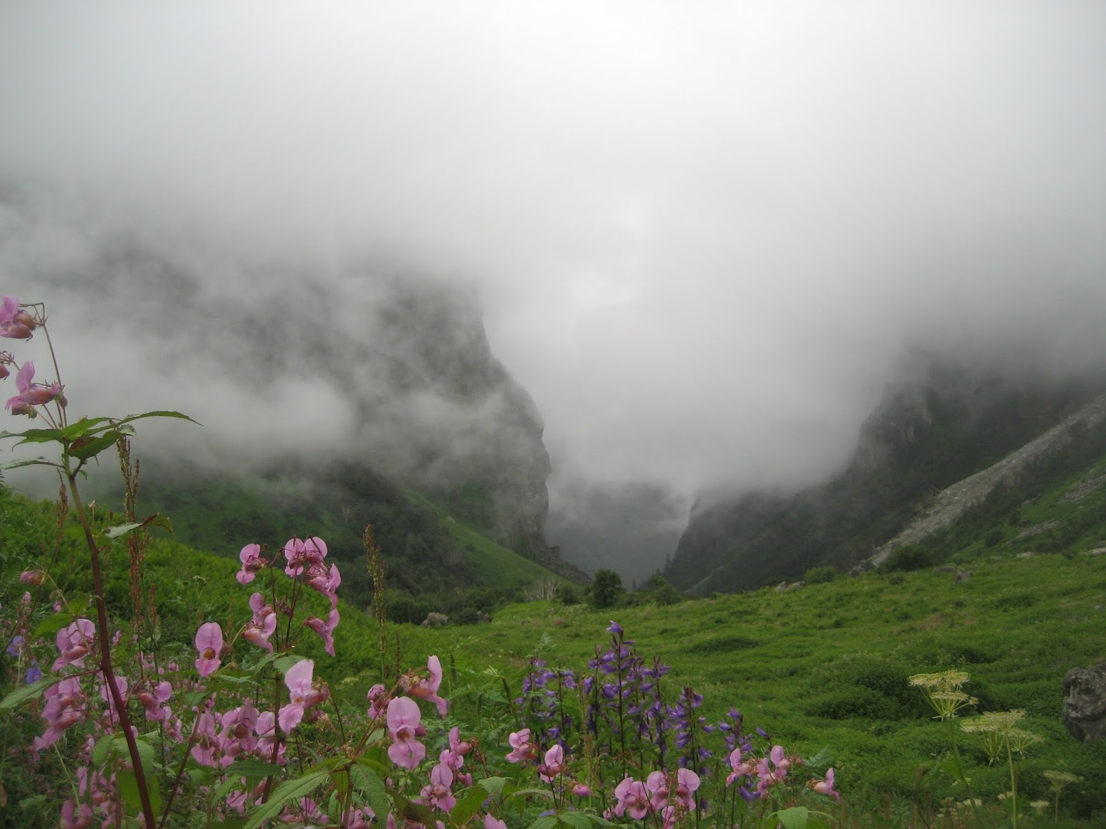 Valley of Flowers, Hemkund Sahib, Joshimath, Auli, Badrinath and Mana