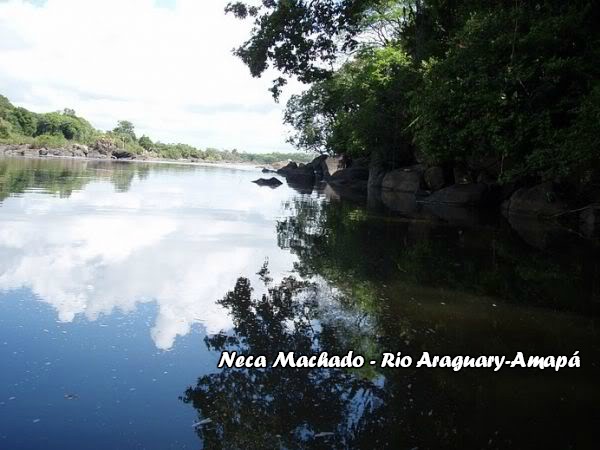 FOTOS DE NECA MACHADO