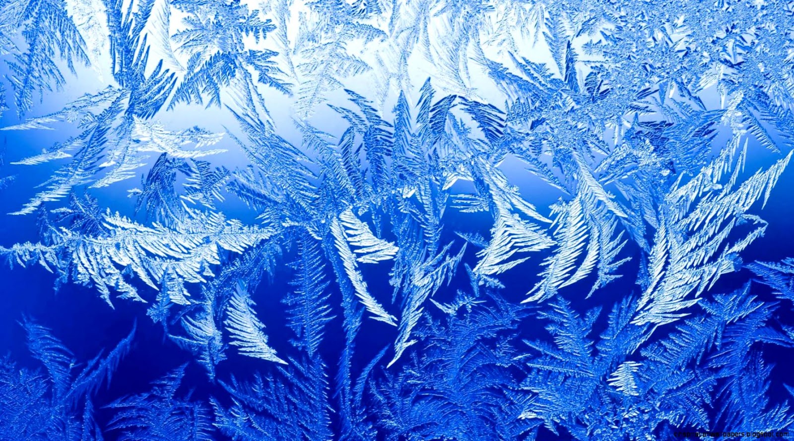 Snowflake Patterns Snowflake Patterns