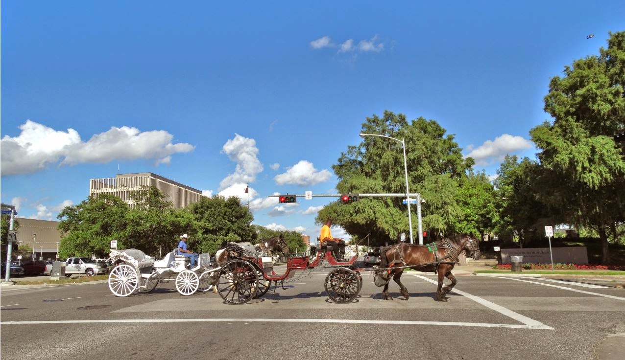 Horse drawn carriage rides in Downtown Houston (pictures