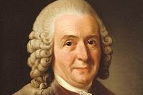 Nih Carolus Linnaeus - Bapak Taksonomi Modern