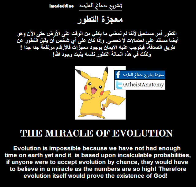Miracle of Evolution