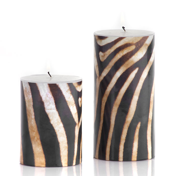 Going Wild With Zebra Prints! MyThirtySpot