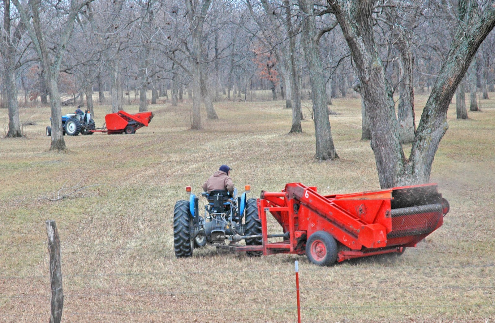 Essay on susan bordos beautyrediscovers the male 04 picture