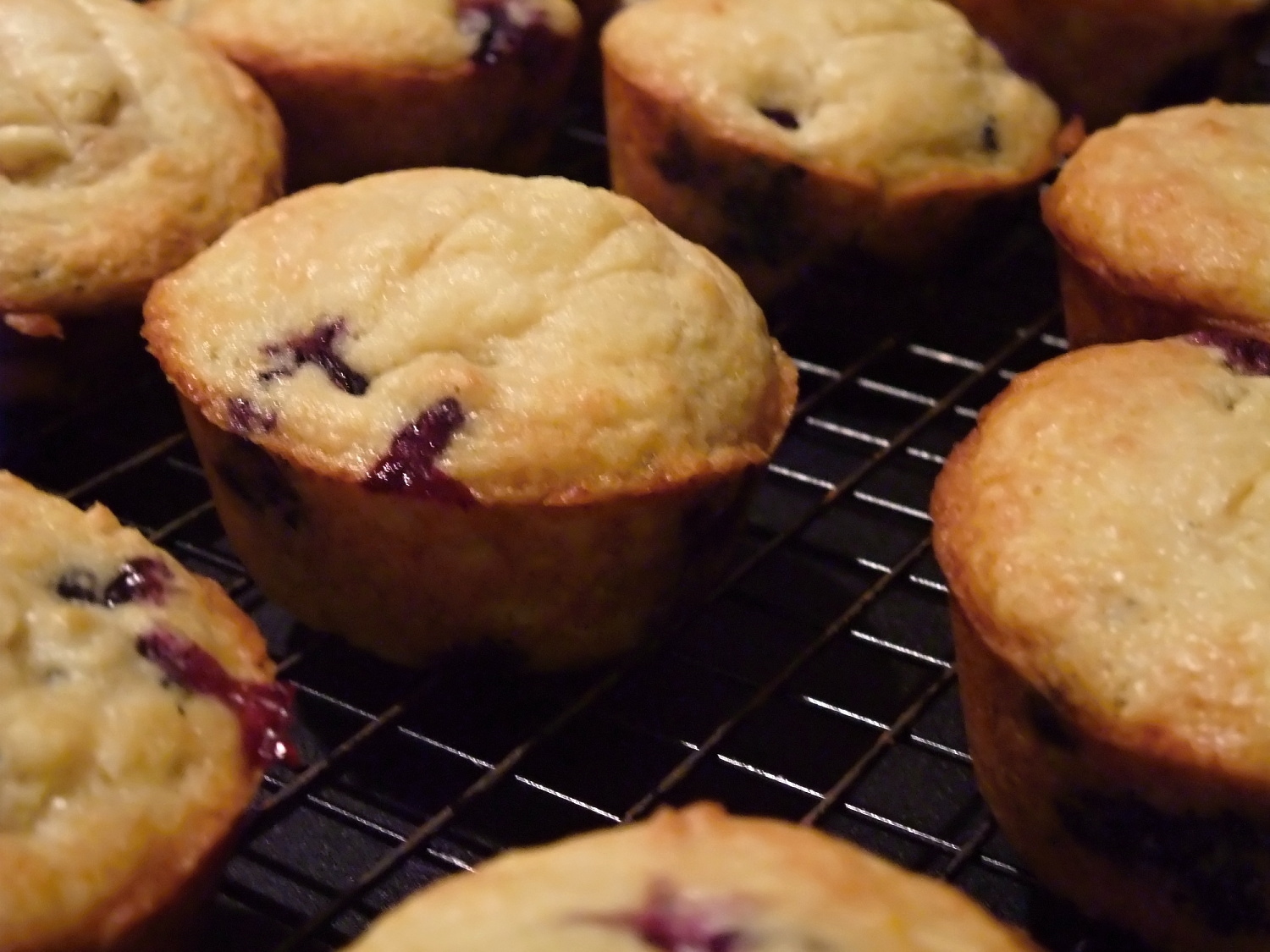 Bake or Dare! Blueberry Lemon Muffins