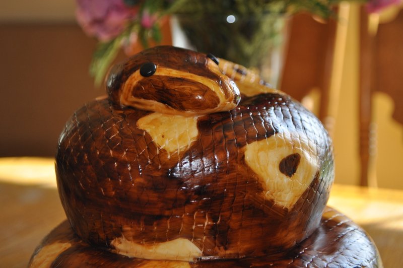 Snake Cake Visual Feast