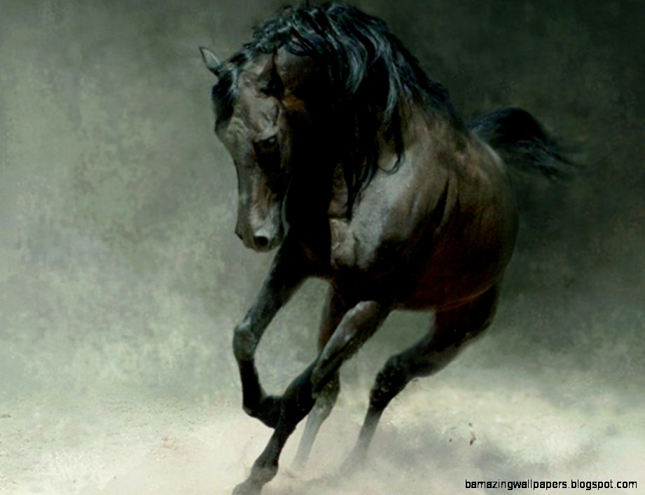 FunMozar – Wild Horses FunMozar – Wild Horses