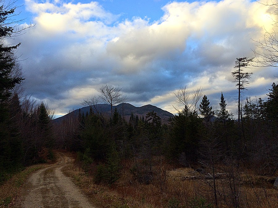 Hiking in the White Mountains and Adirondacks Deep in the Pine A Trek