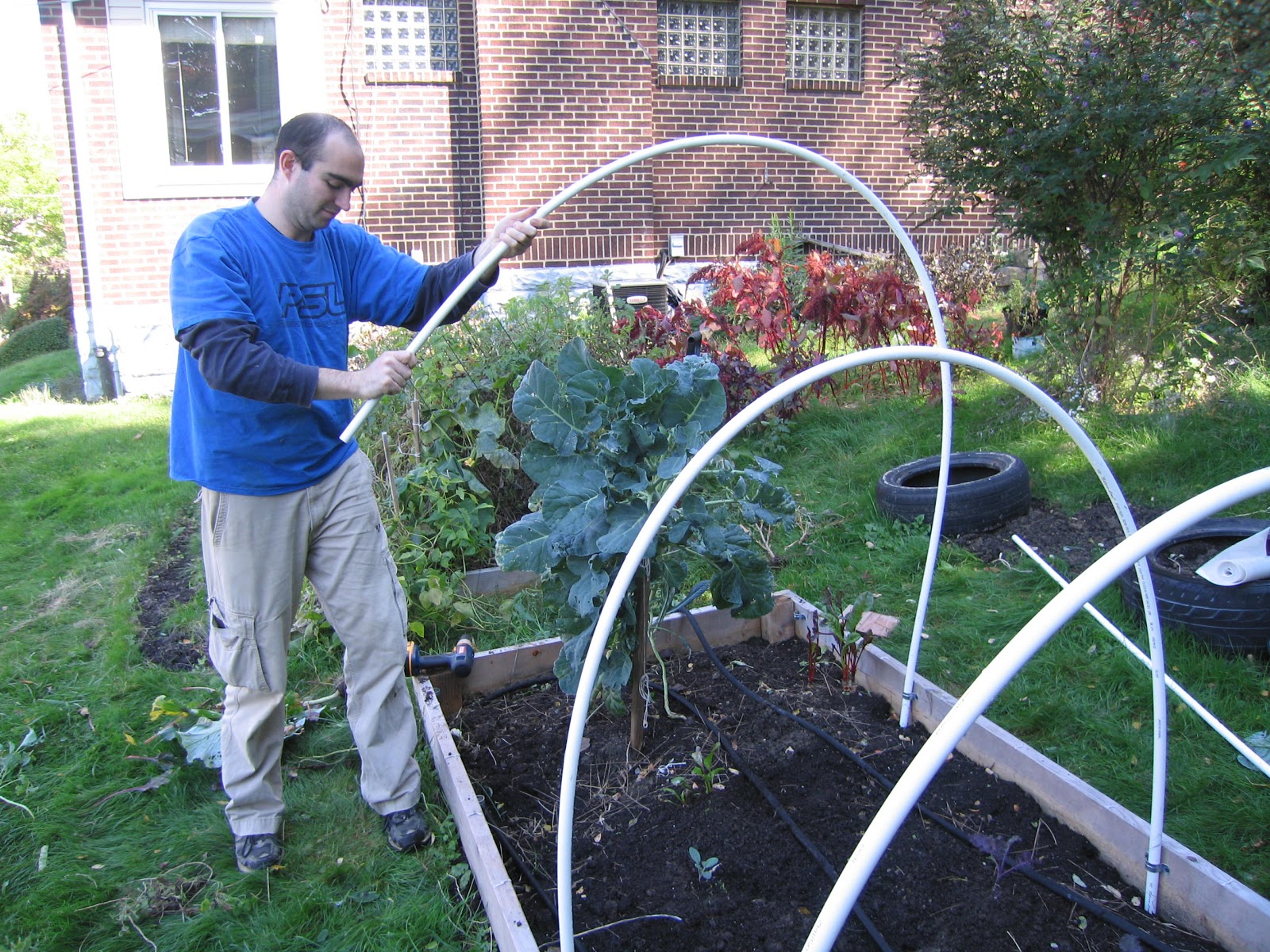 Greedy Green Cold Frame Construction