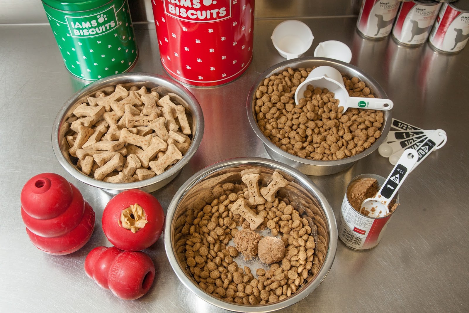 A Dog's Life Food Intolerance vs. Food Allergy Do You Know the