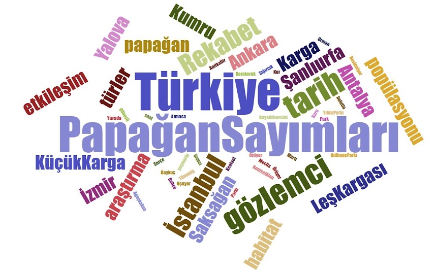 Türkiye Papağan Sayımları