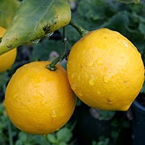 семь стаканов рецепт для иммунитета. Смотреть фото семь стаканов рецепт для иммунитета. Смотреть картинку семь стаканов рецепт для иммунитета. Картинка про семь стаканов рецепт для иммунитета. Фото семь стаканов рецепт для иммунитета семь стаканов рецепт для иммунитета. Смотреть фото семь стаканов рецепт для иммунитета. Смотреть картинку семь стаканов рецепт для иммунитета. Картинка про семь стаканов рецепт для иммунитета. Фото семь стаканов рецепт для иммунитета