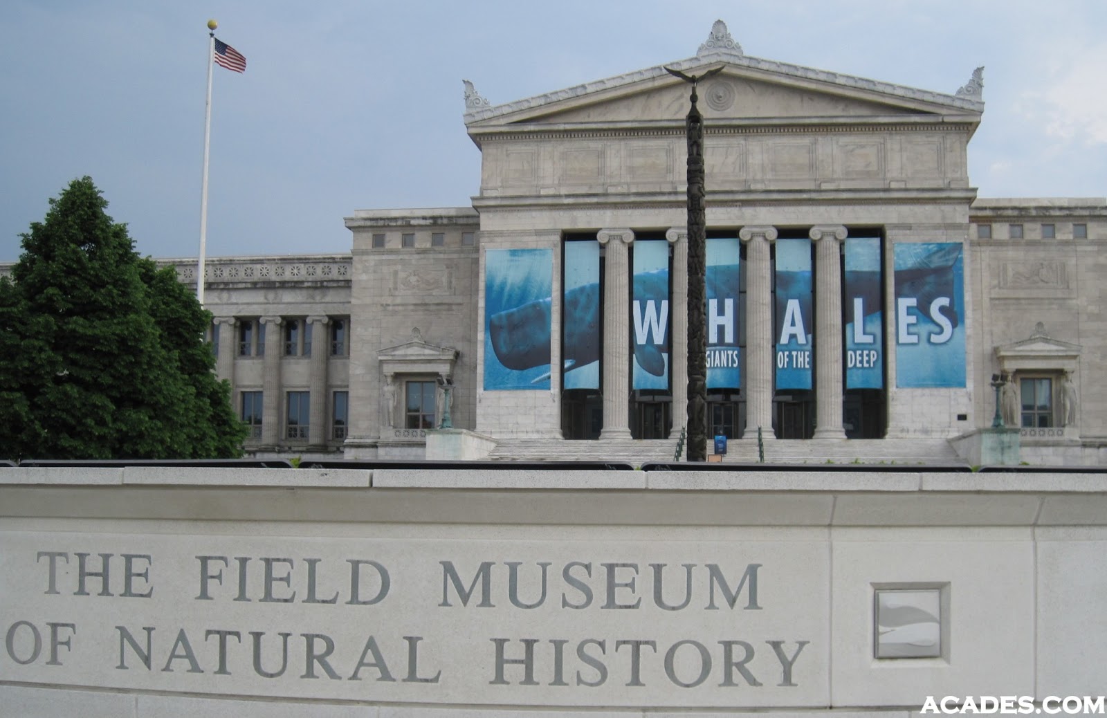 . JOURNEY TO THE CENTRE OF CHICAGO