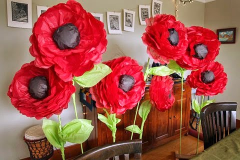 Giant red poppies.