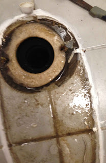 toilet barkley plumbing bellingham