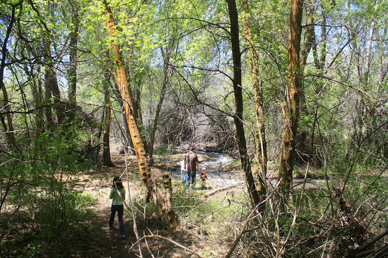 navel gazing at its finest You Can Never Have Enough Castle Parks
