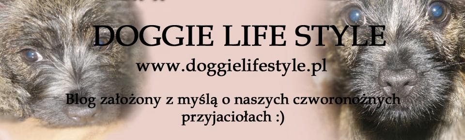 Dog's life