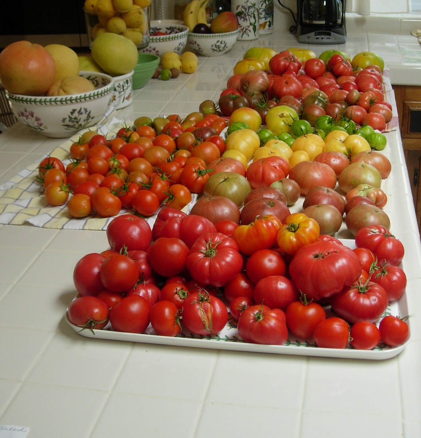 Thyme In A Bottle Tomato Update, Melons, Harvest and Second Crop Plantings