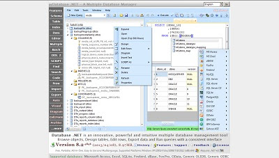 Database .NET, Database Tool