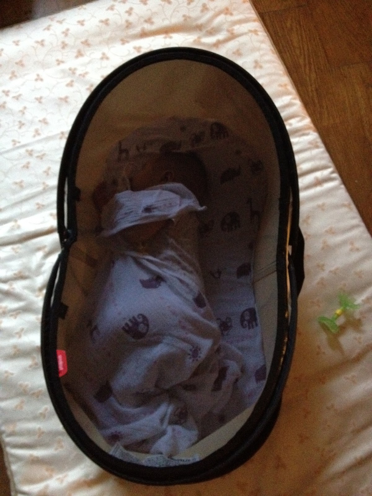 phil and teds travel nest