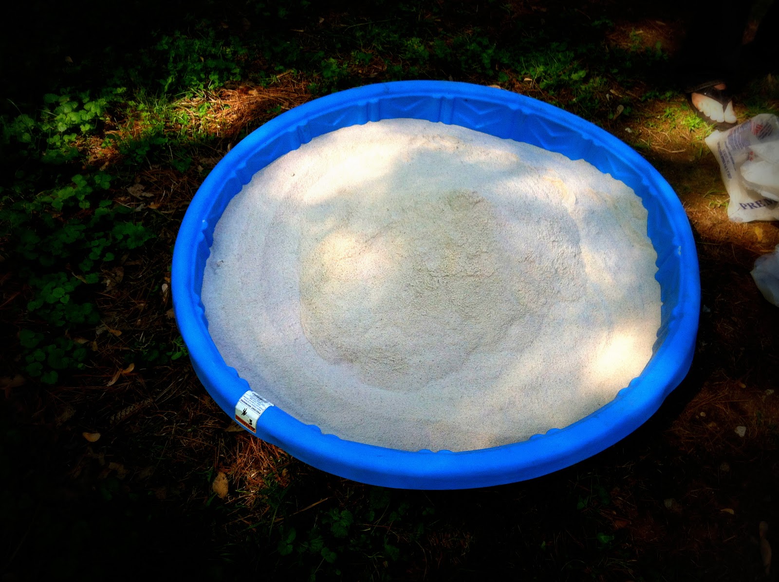 Desi MOMents in Southern Illinois The lazy person's guide to making a