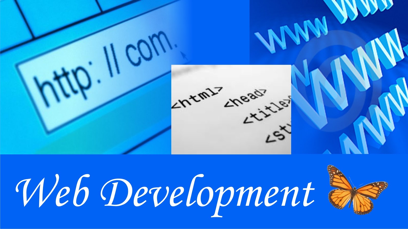 what does a web developer do
