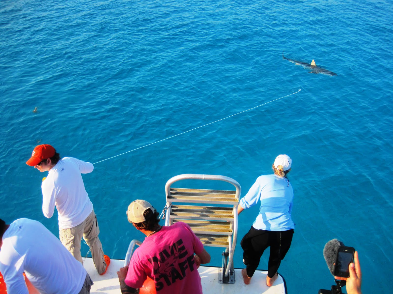 Sea Shark Boat