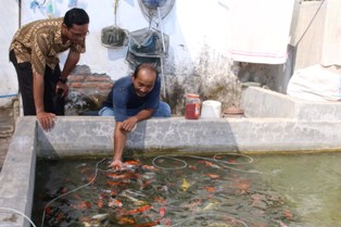 Sukses Usaha Ikan Hias Dari Hobi Membawa Hoki Kraksaan Online