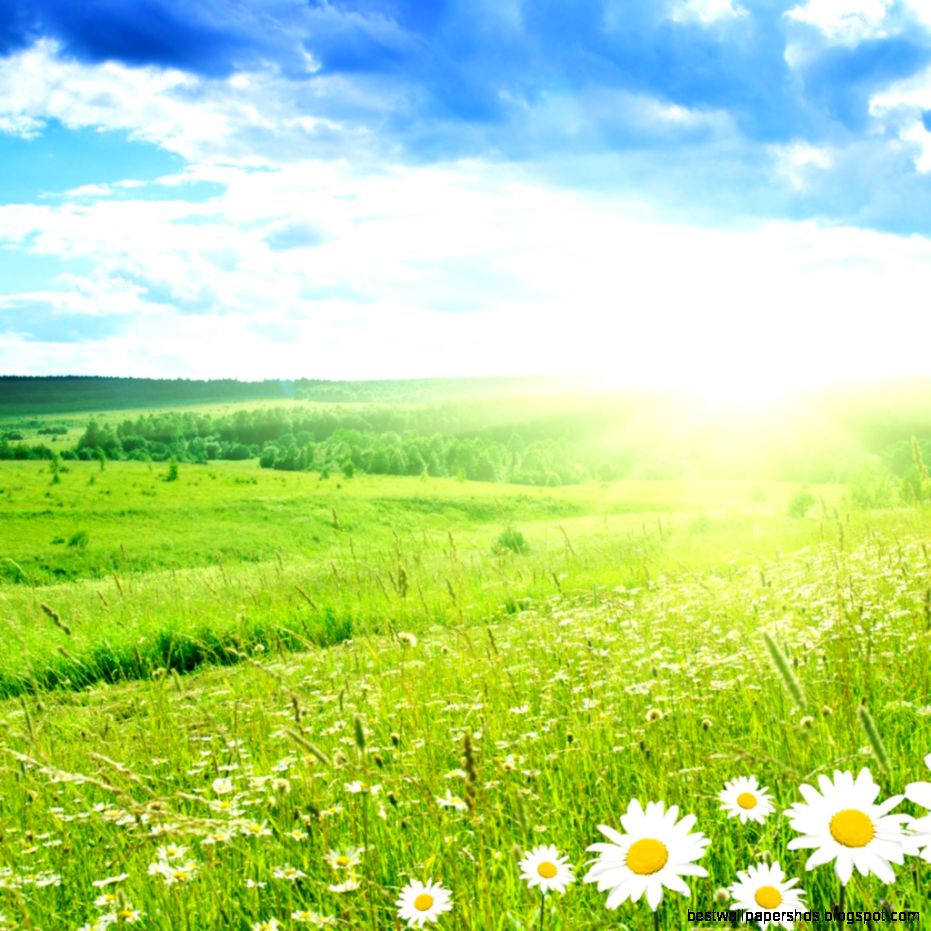 Spring Wallpaper for iPad Mini   WallpaperSafari