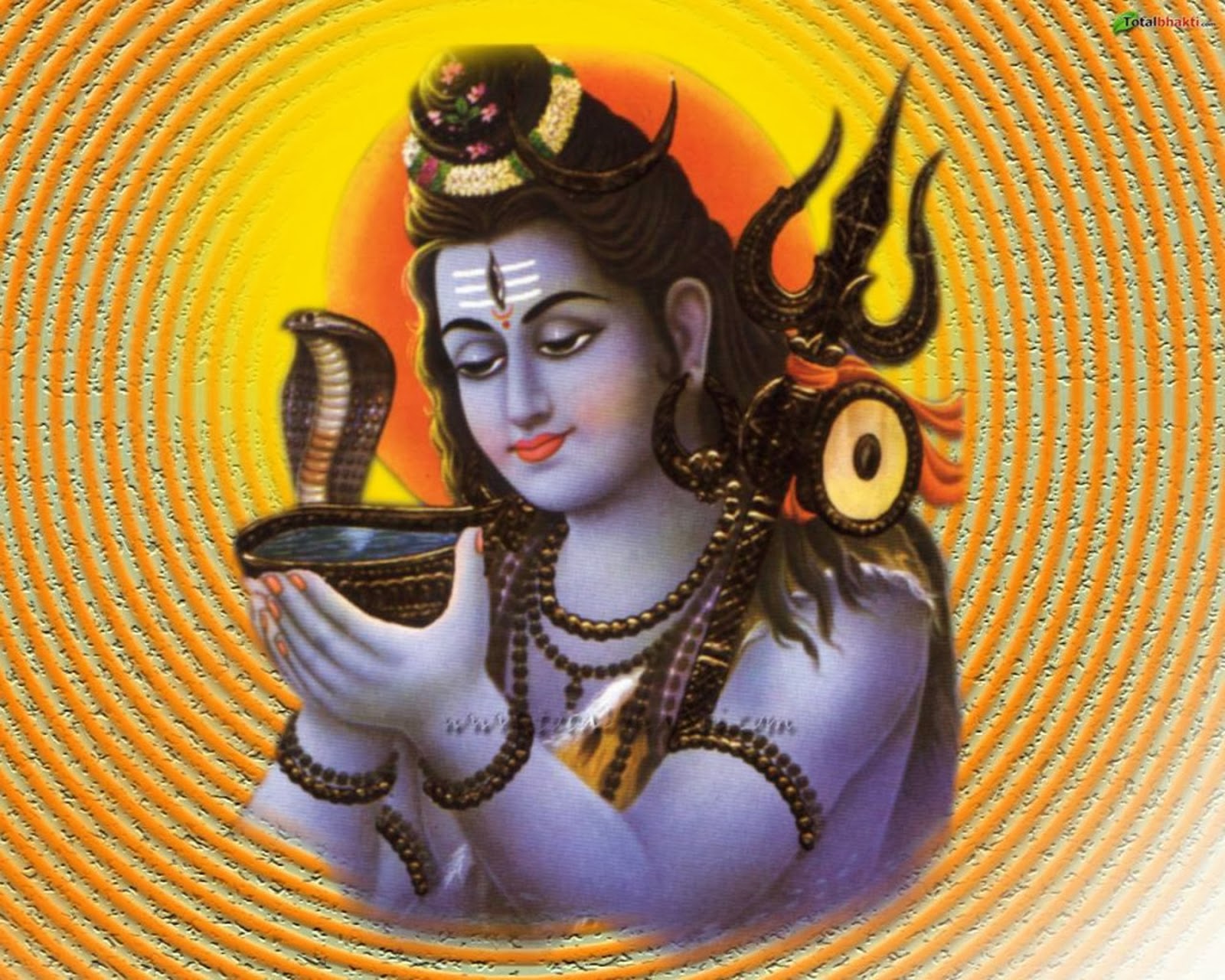 Sweta's Collections: Lord Shiva Images