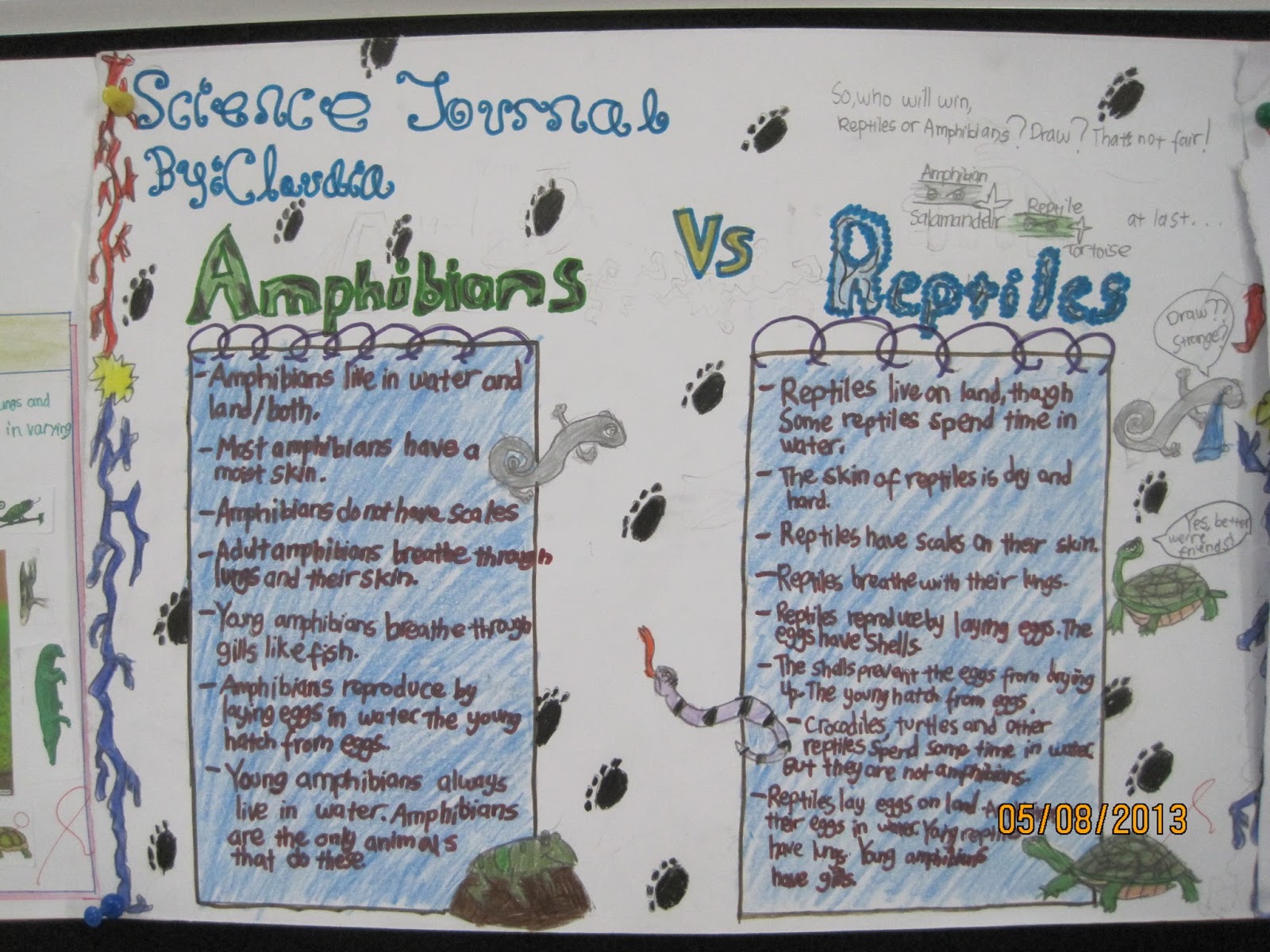Our Fantastic Journey Of Learning: Reptiles Vs Amphibians