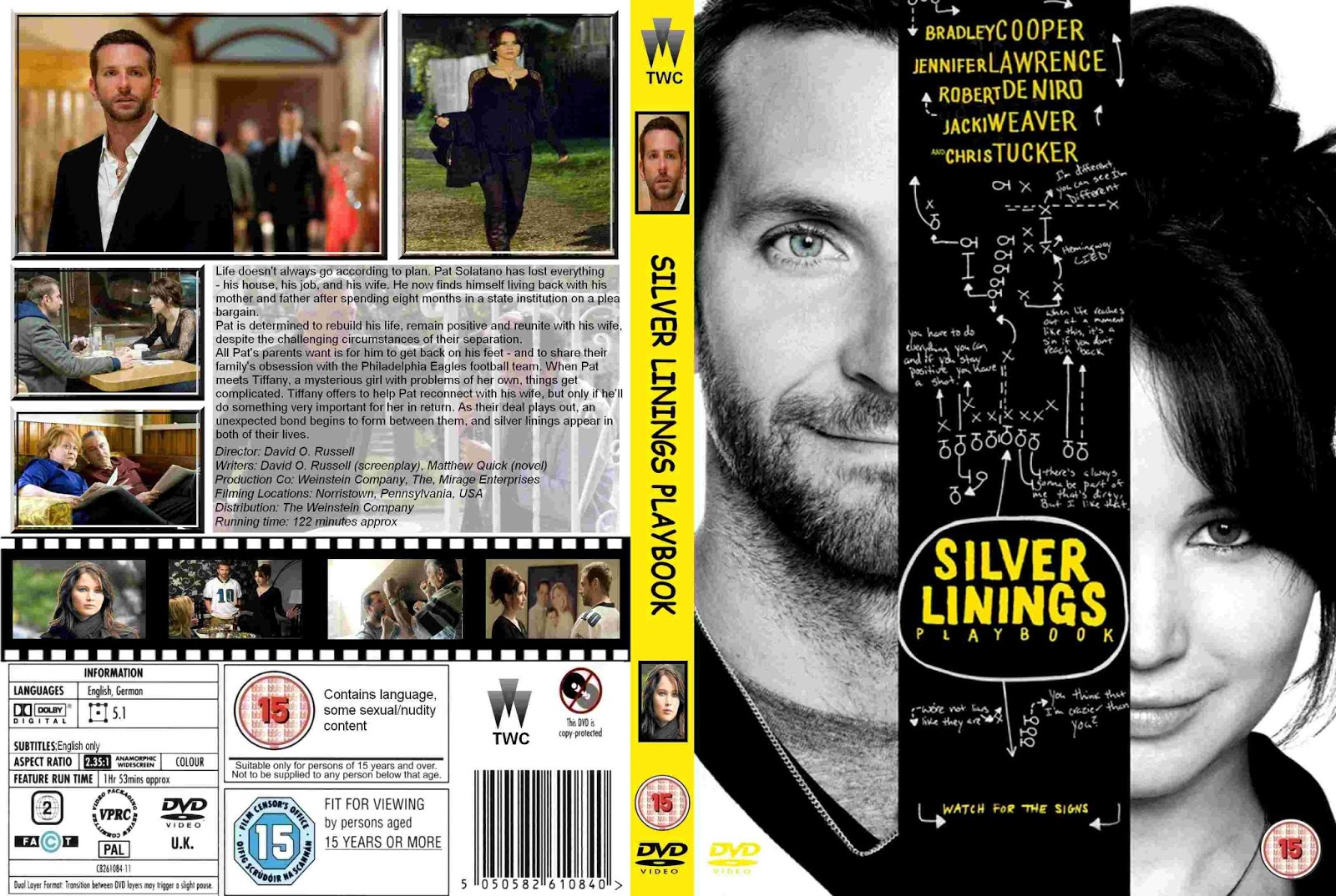 Silver Linings Playbook (2013) Dvdrip Xvid- Survival