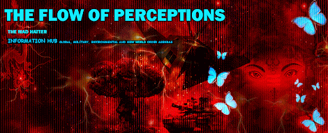 THE FLOW OF PERCEPTIONS