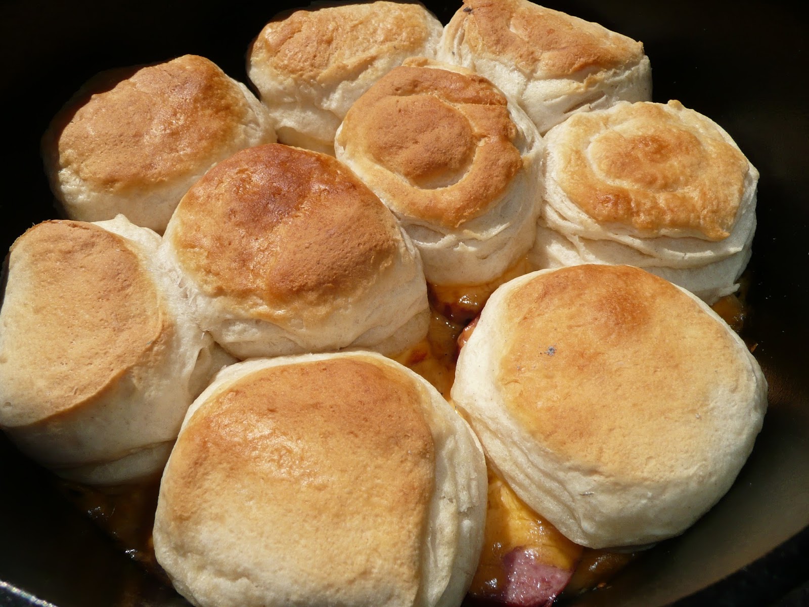 Everyday Dutch Oven Polska and Biscuit Bake