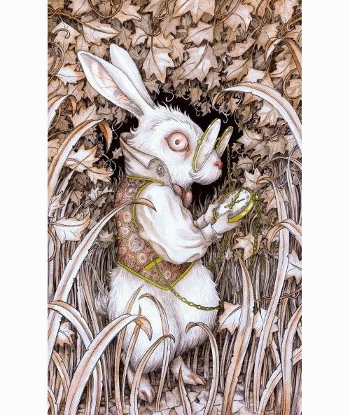 10-The-White-Rabbit-Adam-Oehlers-Illustrations-and-Drawings-from-Oehlers-World-www-designstack-co