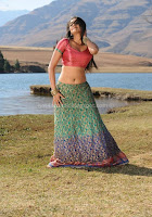 Priyamani, navel, in, skirt